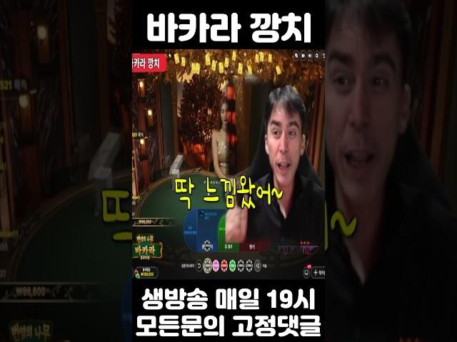 번영의 나무 바카라 강승부만 들어가면 패배하네요 #번영의나무바카라 #바카라강승부 #바카라깡치
