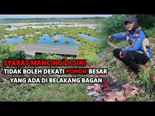 DARI SEKIAN RIBU PEMANCING BELUM TENTU SEBERUNTUNG ORANG INI || mancing mania