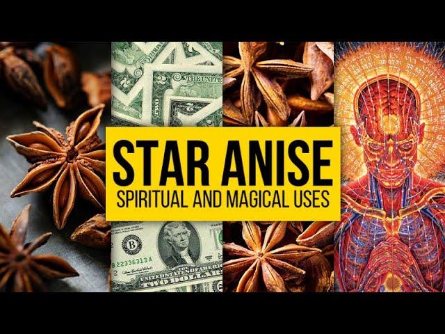 Star Anise: Spiritual and Magical Uses | Yeyeo Botanica