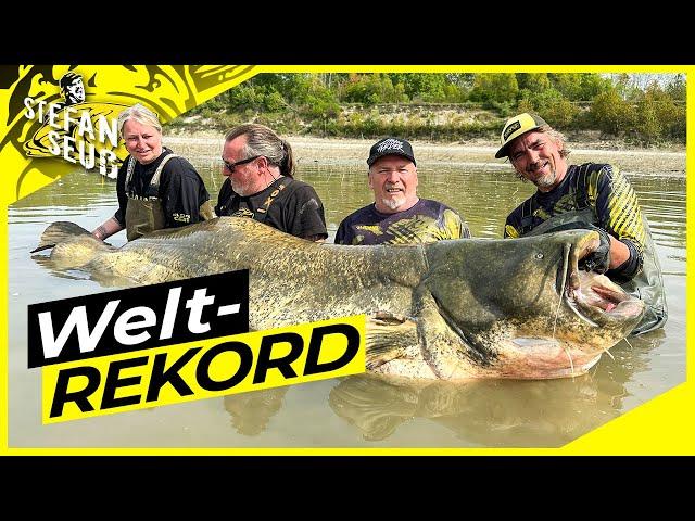 WELTREKORD WELS 281cm  | World Record Catfish 9,23 feet | Der Fisch des Lebens !!