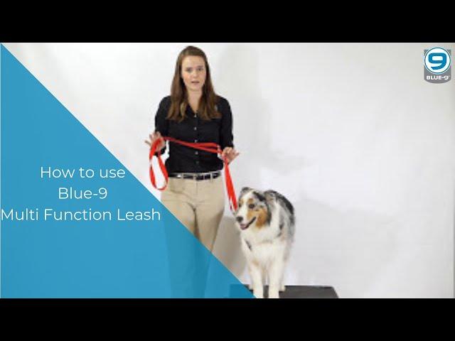 How to use the Multi-Function Training Leash by Blue-9