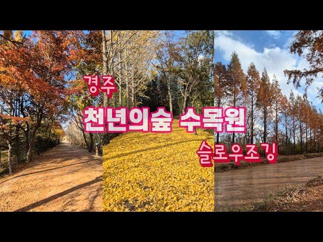 경주 천년의숲 수목원 슬로우조깅 4k vlog (feat.물멍냥)