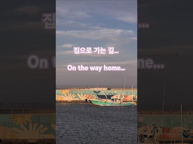 On the way home...수고한 오늘 집으로 가는길 ~#강릉#개늑시#가족#저녁연기#울엄마#LA