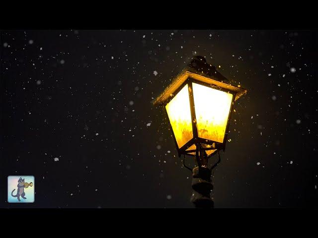 Snowy Street Lamp at Night (No Music) • 10 HOURS