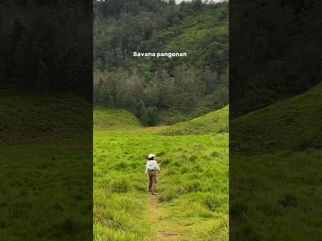 Yang lagi maen k Wonosobo boleh d coba!! #pemandangan #viralvideo #gunung #explore