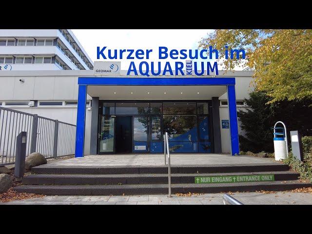 Besuch des Aquarium GEOMAR in Kiel