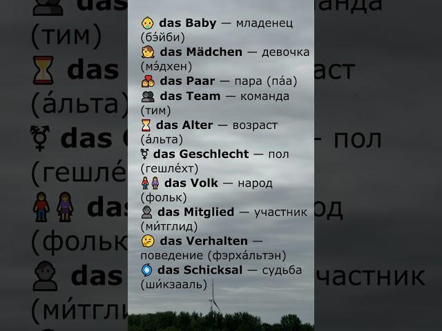 Немецкие существительные среднего рода A1 | Слова с das [8/10]
