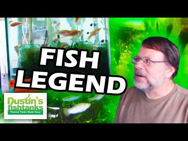 Livebearer Fish Legend  Greg Sage