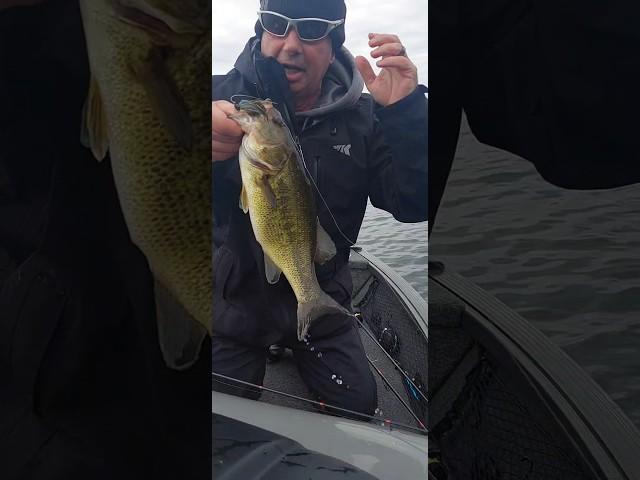 Fish the F2 Viper Jig