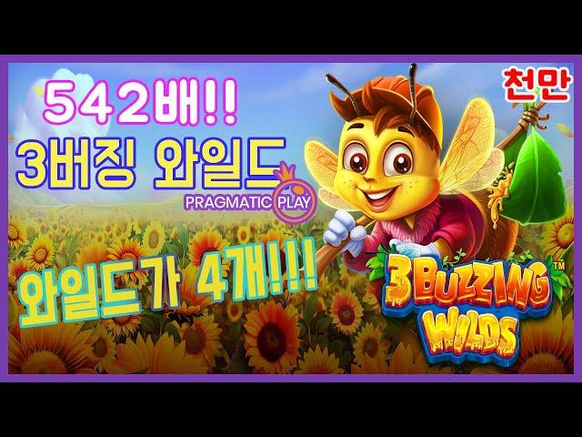 [슬롯] 프라그마틱3버징 와일드꿀단지 와일드 4개 주룩주룩! [슬롯][프라그마틱][슬롯잭팟][슬롯사이트][슬롯추천][대박이]