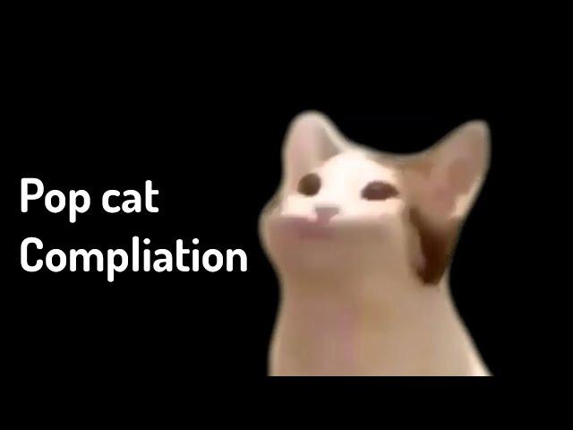 Pop cat meme Compliation