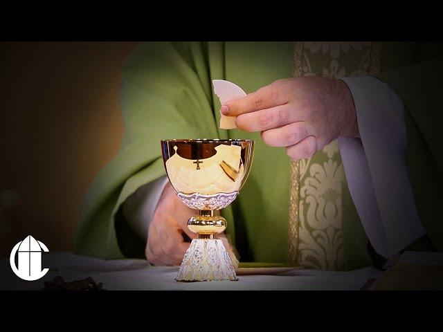 Catholic Mass Today: 11/17/24 | Thirty-Third Sunday in Ordinary Time