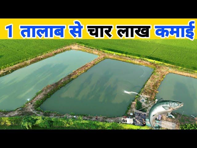 1 एकड़ से 4 लाख कमाई | Fish farming | machhali palan kaise kare