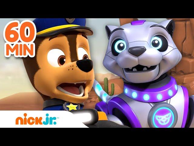 PAW Patrol Mega Robot Rescues! w/ Chase, Skye & Robo-Dog | 1 Hour Compilation | Nick Jr.