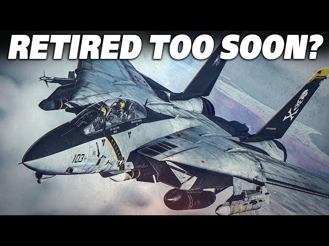 Could The F-14 Tomcat Still Be Relevant ? F-14 Tomcat Vs Su-33 Flanker-D Intercept | DCS |