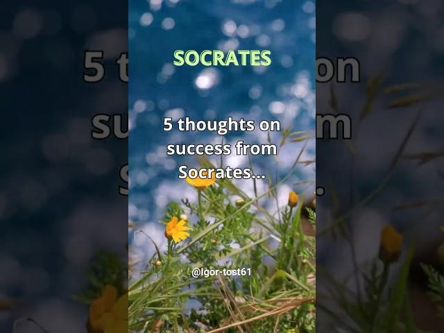 Socrates, Aphorismus, Interesting Life Facts, Quotes & Wise Sayings, Miracles & Wonders,