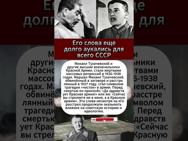 Его слова еще долго аукались для всего СССР #интересныефакты #вов #армия #история #СССР