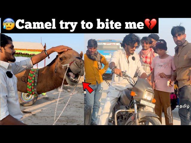 Camel try to bite me just miss| Ep -22 | Gujarat | white desert | TTF | motovlog | horse crossing