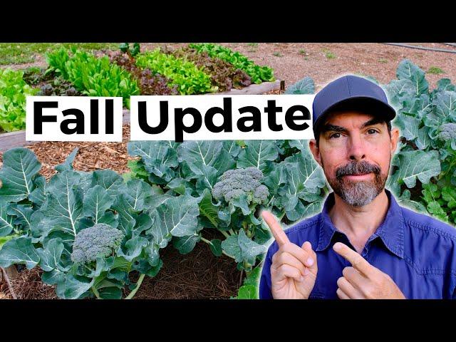 Grow Now: Fall Garden Update 2024 From Austin, Texas