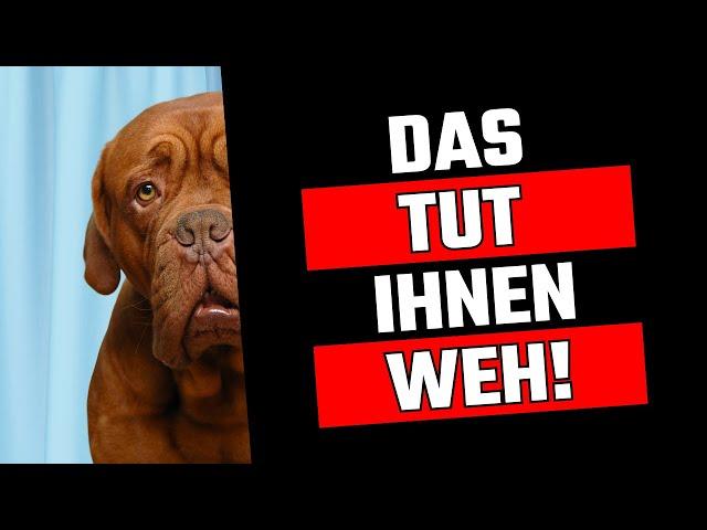 10 Alltägliche Dinge, die deinem Hund das Herz brechen