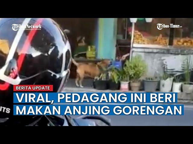 Aksi Mulia pedagang ini Beri Makan Anjing Gorengan jadi Viral di Sosmed