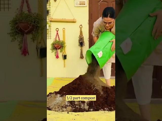 Soil mix recipe for monsoon vegetables and houseplants