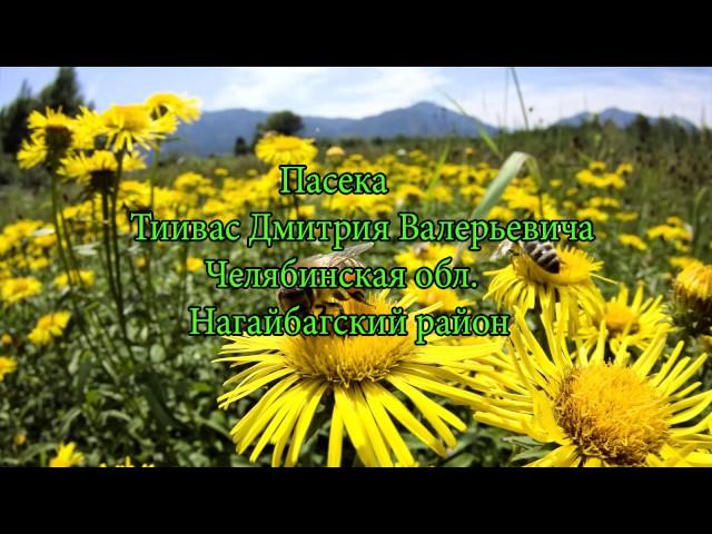 Каркасный улей
