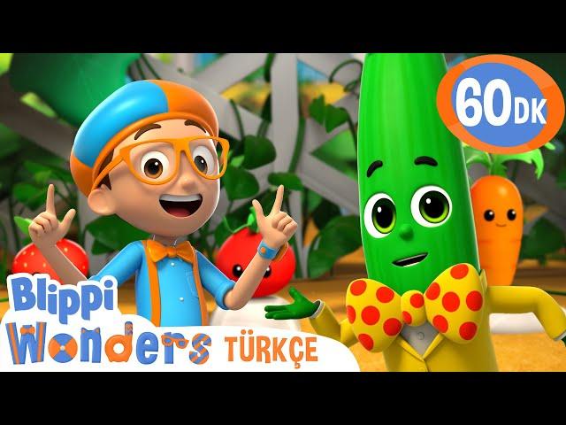 Meyve mi Sebze mi?  | Blippi Türkçe - Çocuklar için Eğitici Videolar