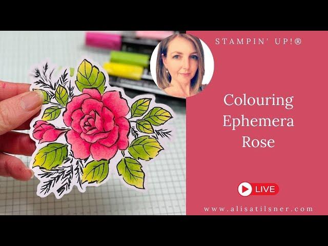 Colouring a Rose from a Stampin' Up! Ephemera Pack