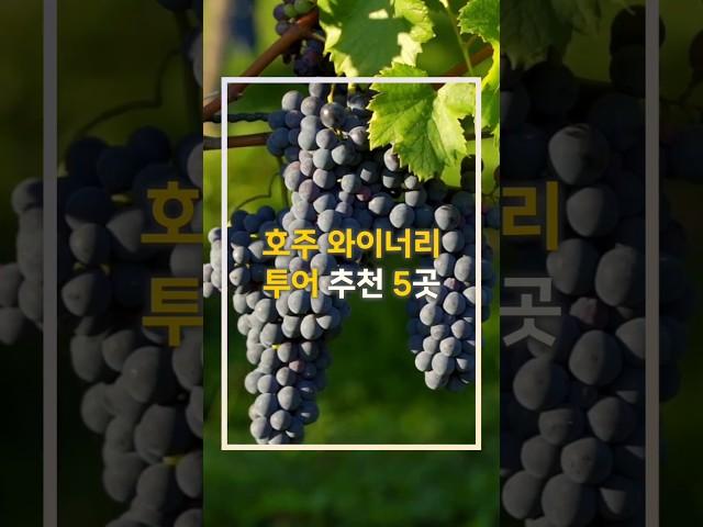 호주 와이너리 TOP 5  와인 애호가를 위한 필수 코스! #호주여행 #와이너리추천 #호주와인