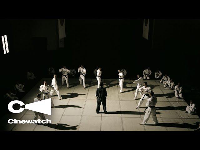 Ip Man | One vs. Ten Scene