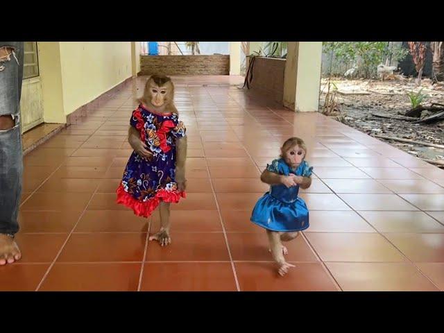 Beautiful Chichi Folding Both Hand Walk 2Leg With Madam Jenny