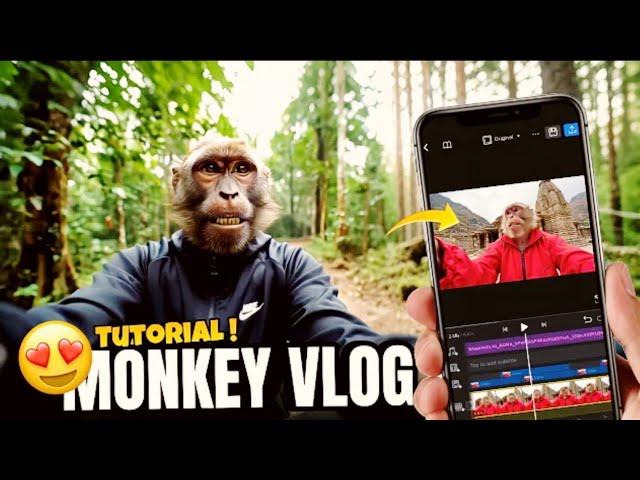 How to make Monkey Vlogs  / #how to video editing money vlogs