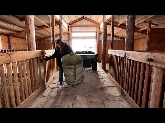 Cleaning Up the New Barn & Adding Potted Blue Spruce Trees! 🪴 // Garden Answer