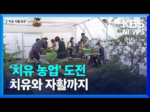 자활사업단의 ‘치유농업’ 도전…치유와 자활까지 / KBS  2022.09.26.