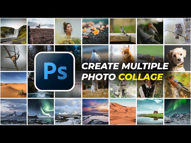 How To Make a Photo Collage in Photoshop | Photoshop Tutorial