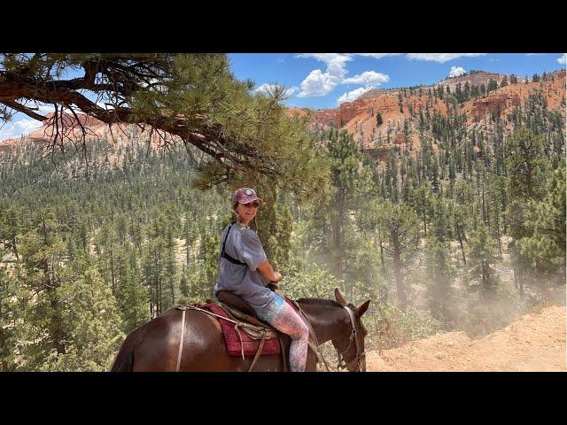 The Ultimate Bryce Canyon Experience: Mule Riding on Peekaboo Loop & Van Camping