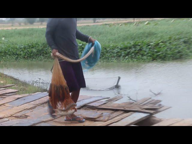 Fisherman  throwing cast net caught a lot fish in  Cambodia