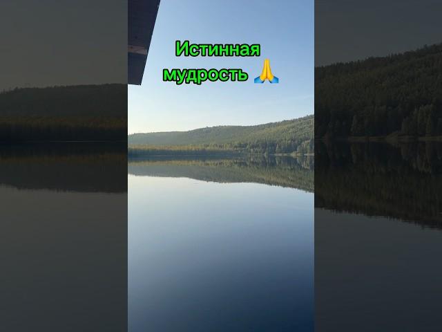 Золотые слова| Будулая сыну #мудрость #motivation #цитаты #мысли #рекомендации #shortvideo #цели