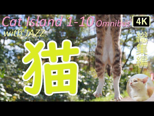 【猫×ジャズ1st~10th 総集編3時間】猫歩き 癒しの猫島 猫も子猫も仲良く一緒 Cat Island in JAPAN Omnibus. Japan’s paradise cat island