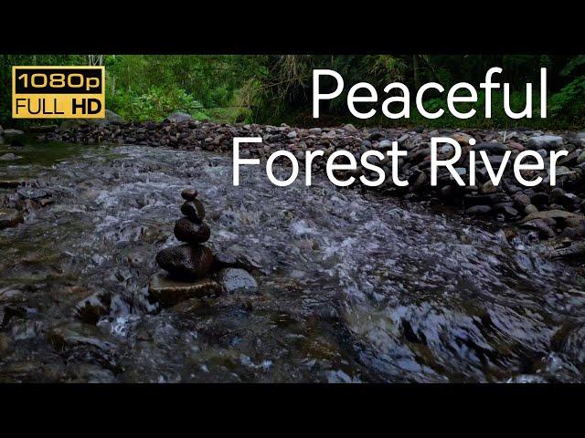 Sound of a Victorious River Flowing - Clam Nature River - For your sleeping /Work/Study/Meditation