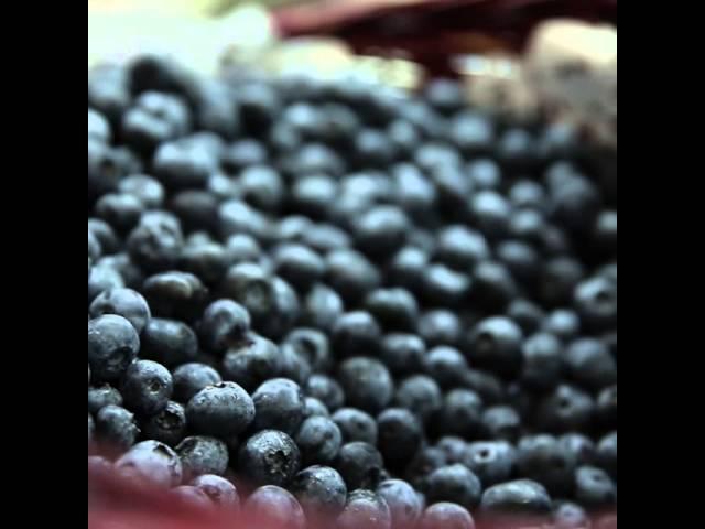 Blueberry Quick Tip: Getting Kids to Eat More Fruit