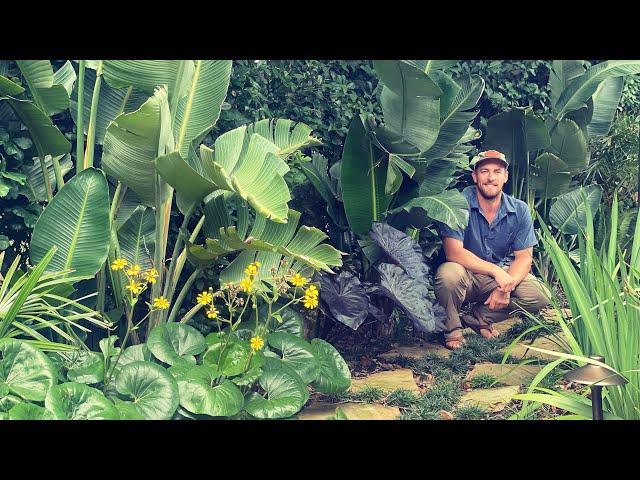 Tropical Northeast Florida Garden Tour with Landscape Designer Andy Turner