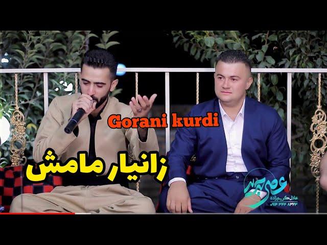 زانیار مامش ، گه عدی پیشوا سونه ای کوردستانی باشور