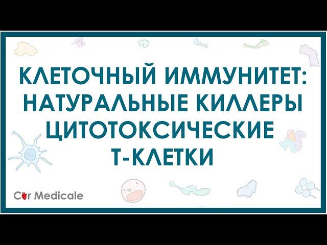 Натуральные киллеры и цитотоксические Т-клетки - клеточный иммунитет