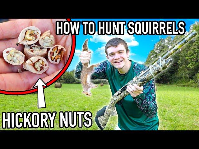 How to HUNT SQUIRRELS! (Full Guide) - Kendall Gray