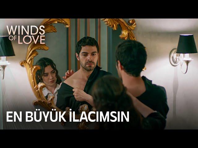 Zeynep bandages Halil's wound | Winds of Love Episode 81 (MULTI SUB)