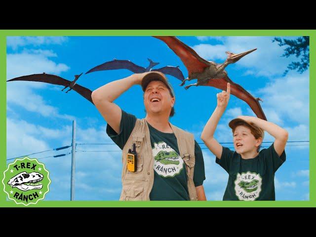 Play Hide and Seek at Dinosaur World  T-Rex Ranch Dinosaur Videos