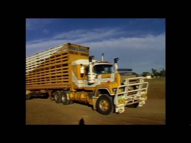 Outback Queensland Sheep Lift