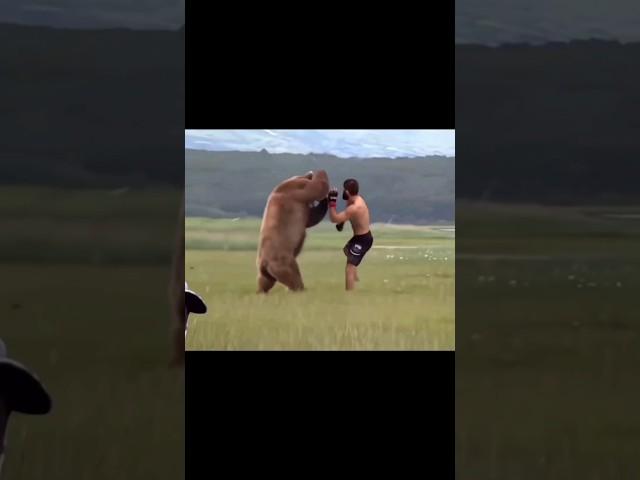 khabib vs bear funny  #shorts